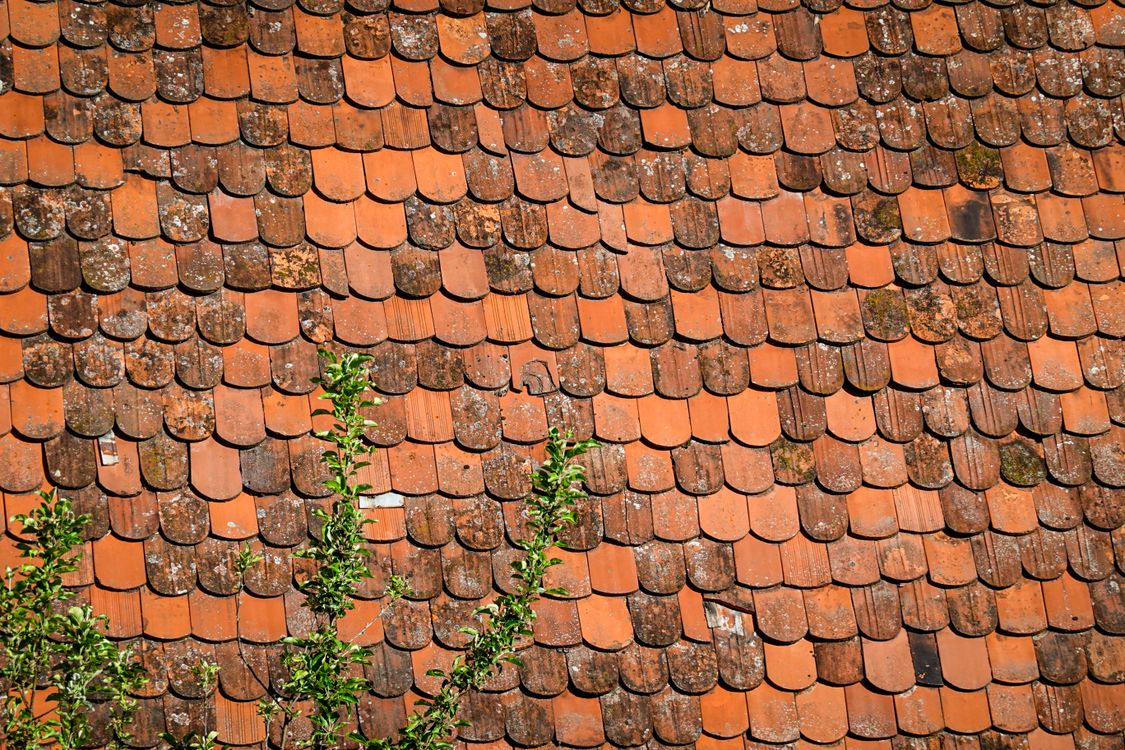 Roof Cleaning & Soft Washing — example 2